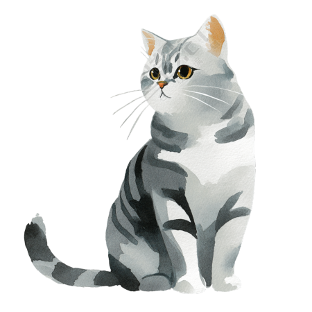水彩画灰色猫插画