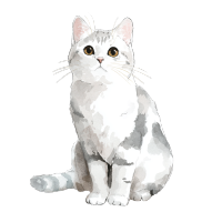 水彩画灰色猫插图