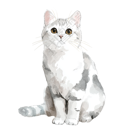 水彩画灰色猫插图