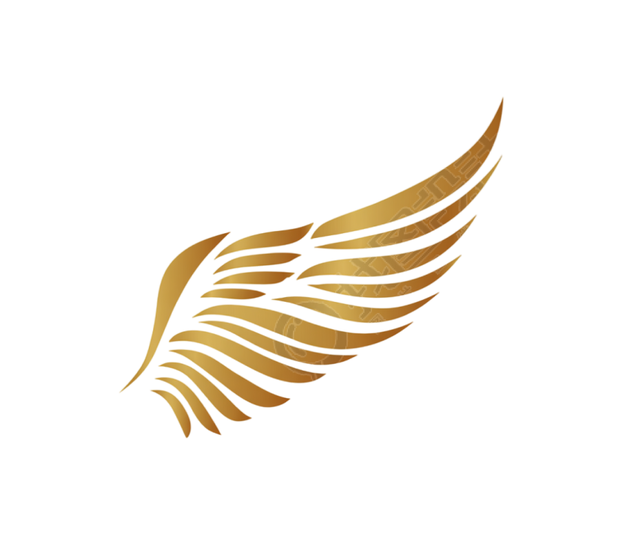 金色翅膀logo矢量素材