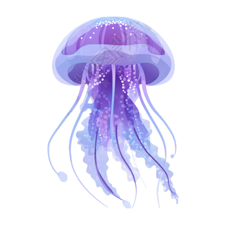 海洋紫色水母插图