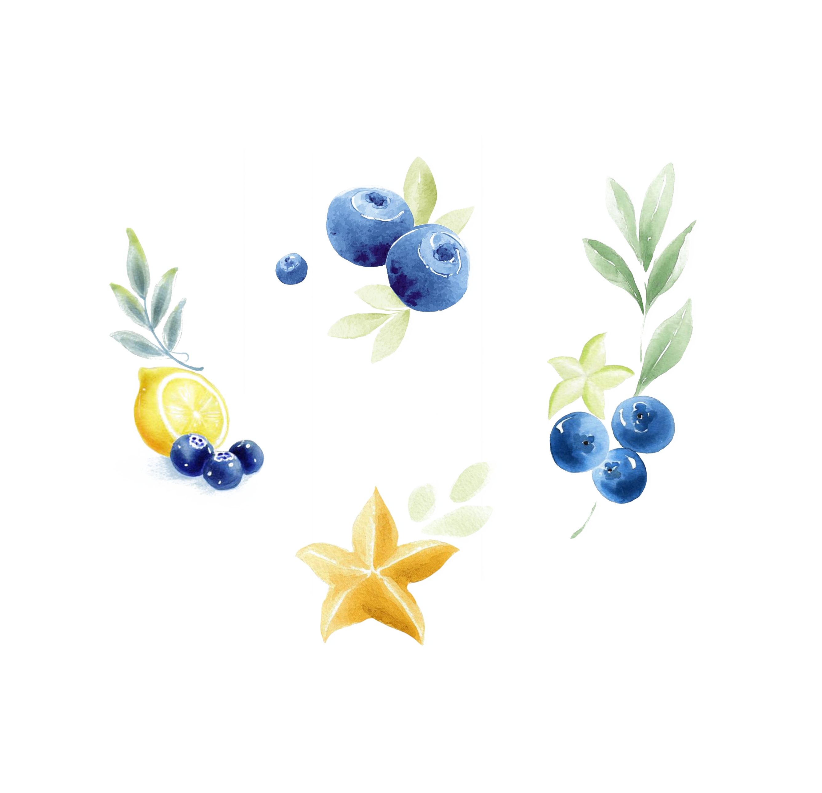 柠檬蓝莓水彩水果插画