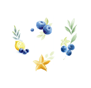 柠檬蓝莓水彩水果插画