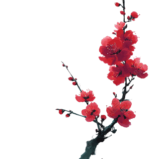 中国风梅花素材