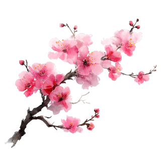 梅花高清设计素材