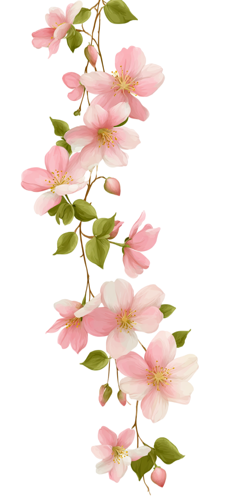 花藤透明背景插图