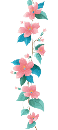 花藤透明背景插画