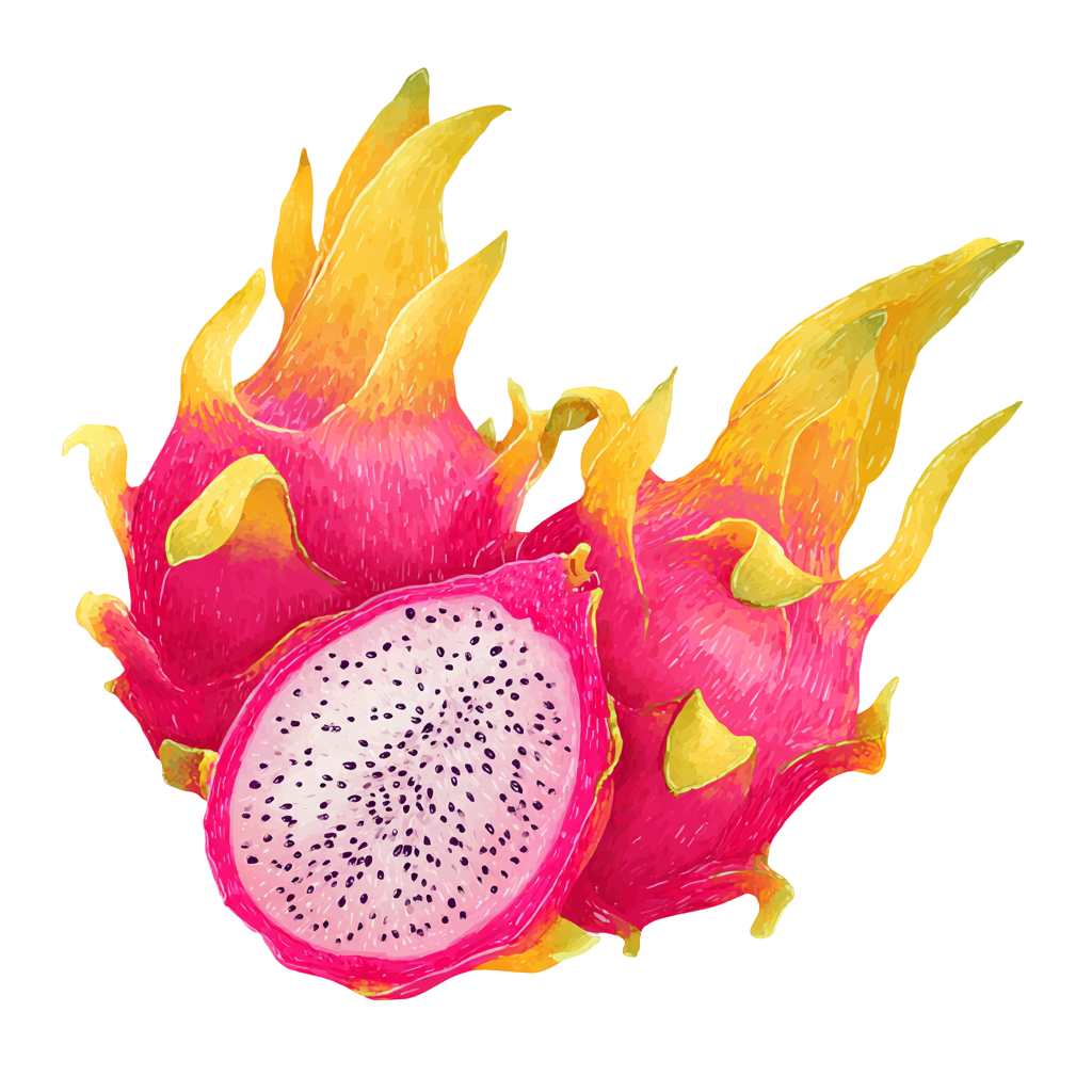 火龙果透明背景插图