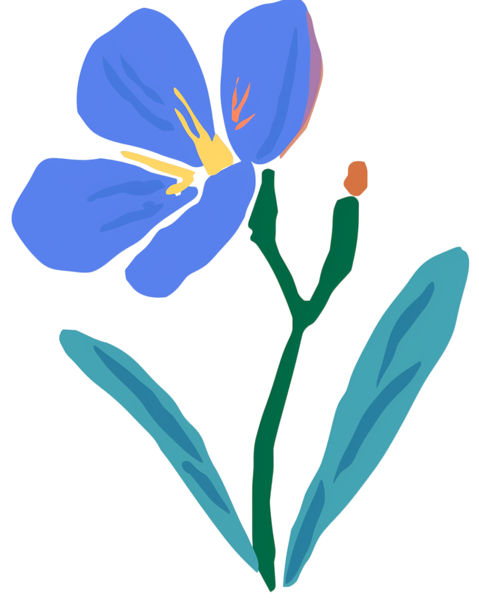 蓝色小野花素材