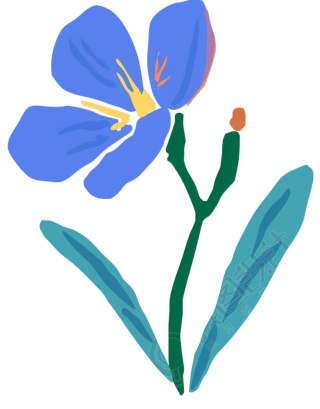 蓝色小野花素材