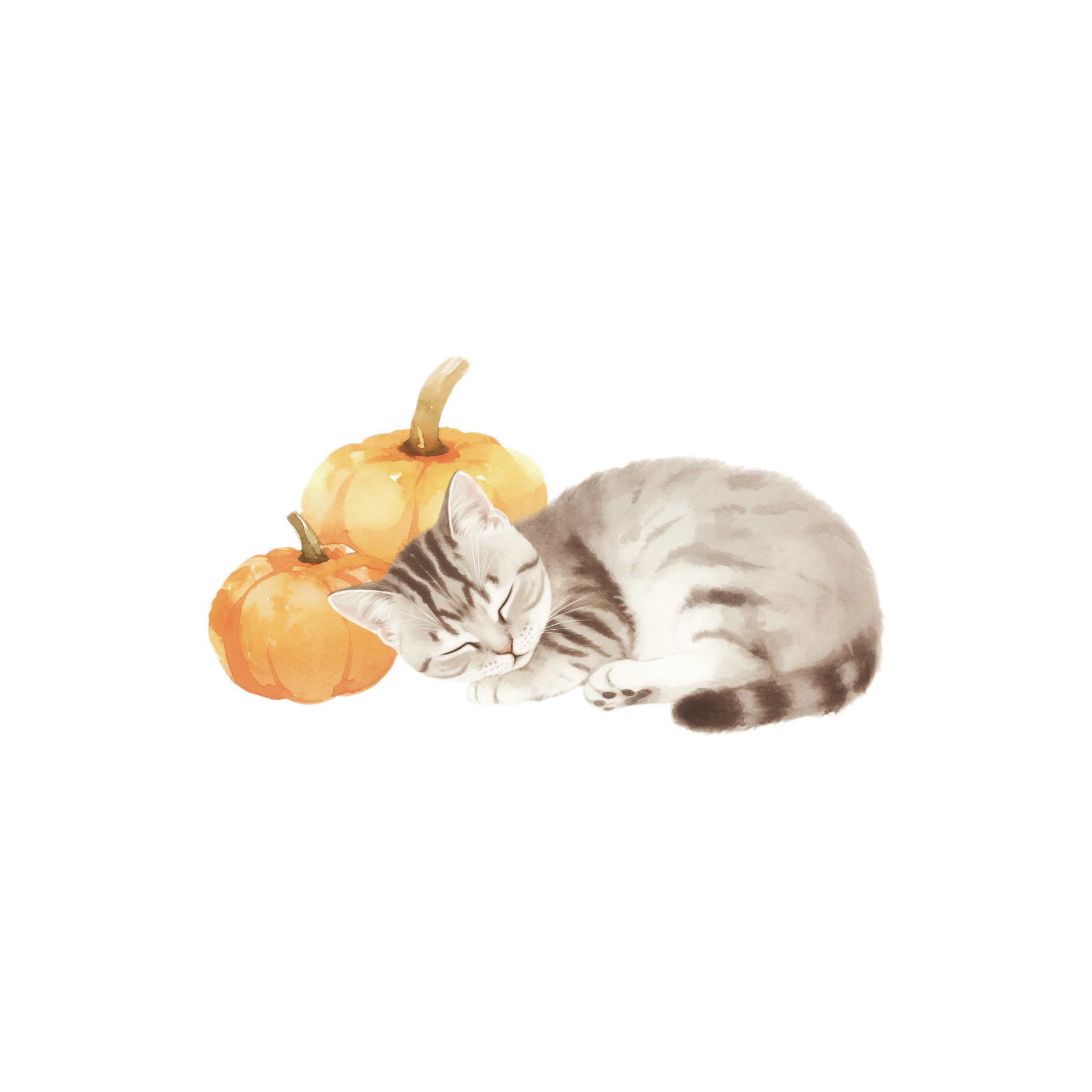 可爱猫咪睡觉透明背景插图