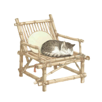 猫咪睡在竹椅上插图