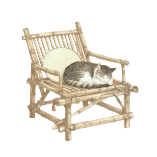 猫咪睡在竹椅上插图