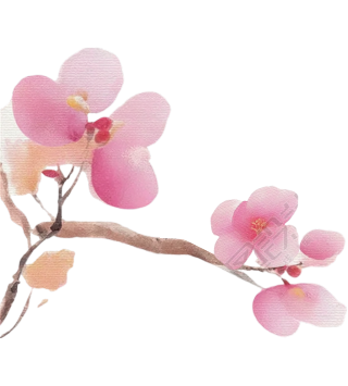 粉色花朵水彩元素