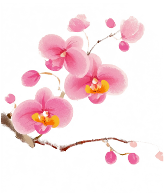 桃花唯美插图