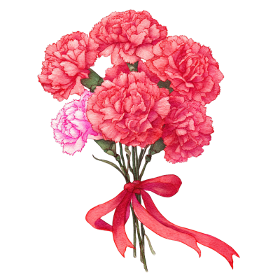 教师节康乃馨矢量元素