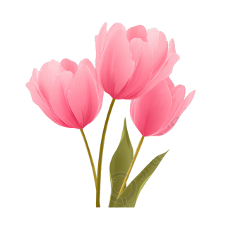 教师节郁金香矢量插画