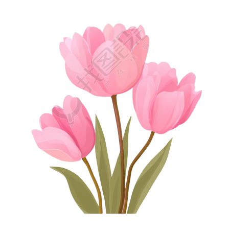 教师节郁金香矢量插图