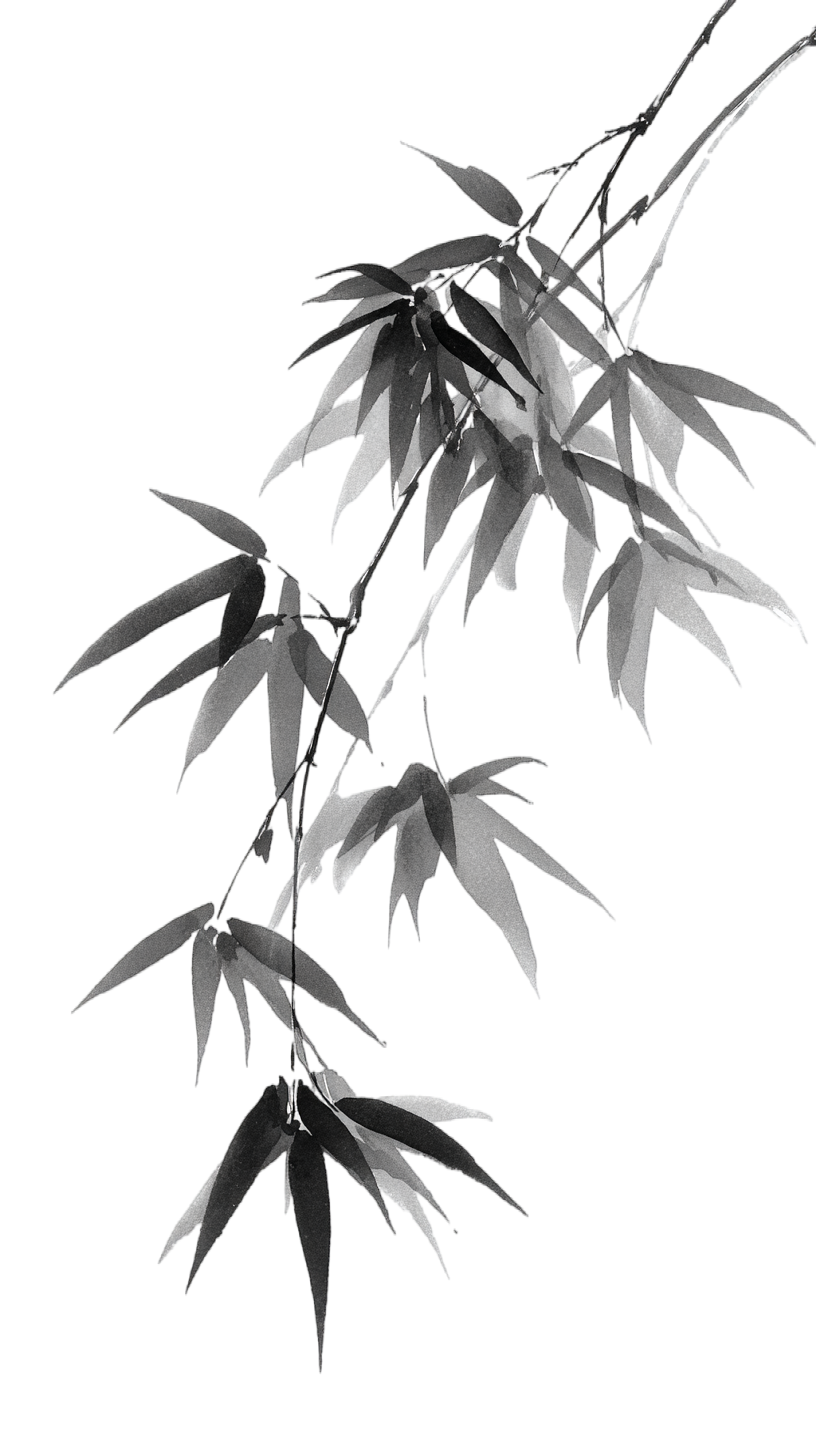 中元节水墨竹叶素材
