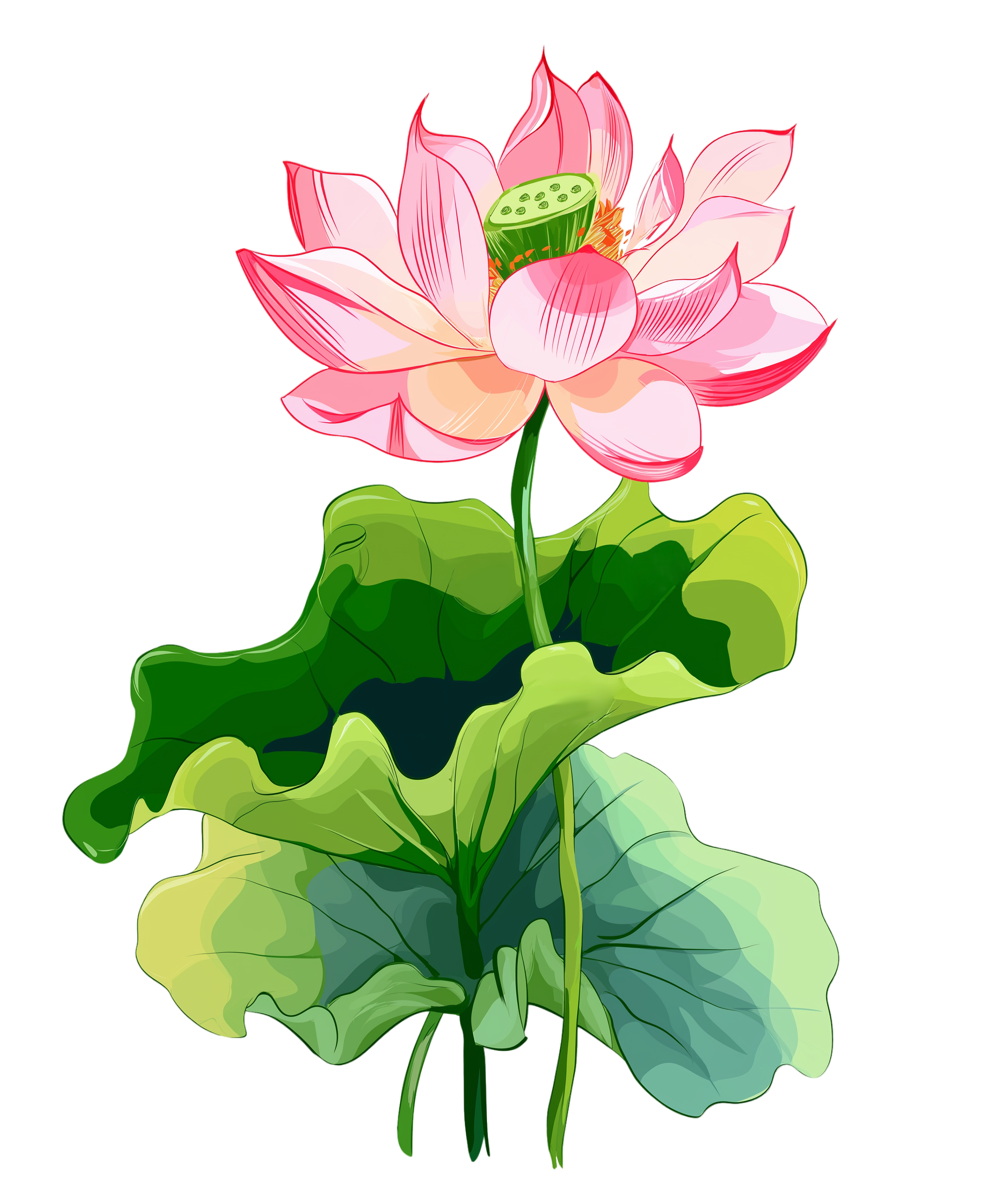 粉色荷花简约线条素材