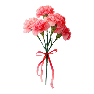 教师节康乃馨矢量素材