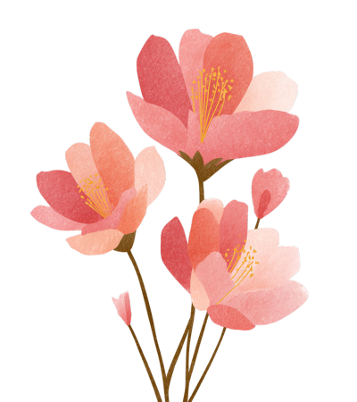 粉色花卉透明背景插画