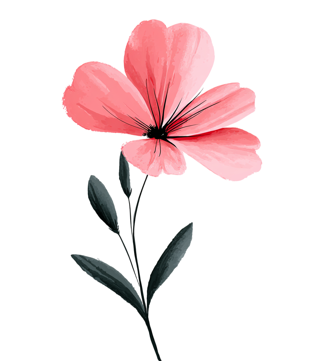 粉色花卉透明背景插图