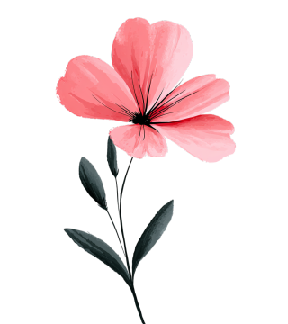 粉色花卉透明背景插图