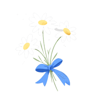 清新简约雏菊插画