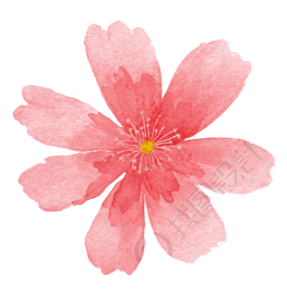 粉色花朵水彩风元素