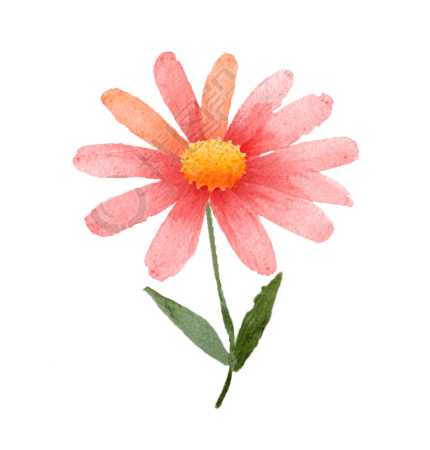 粉色花朵水彩风素材