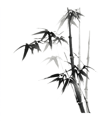 水墨竹子简约插图