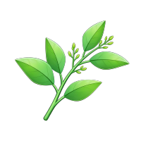 清新嫩绿树叶素材