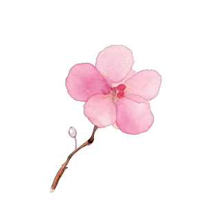 粉色花朵水彩元素