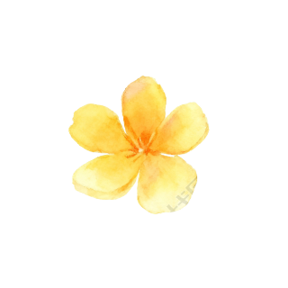 水彩黄色花朵PNG元素