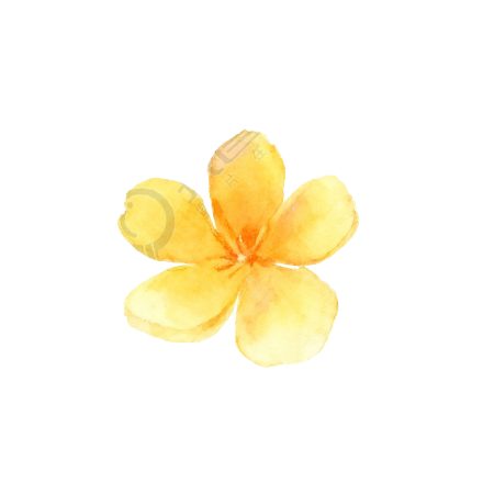 水彩黄色花朵PNG元素
