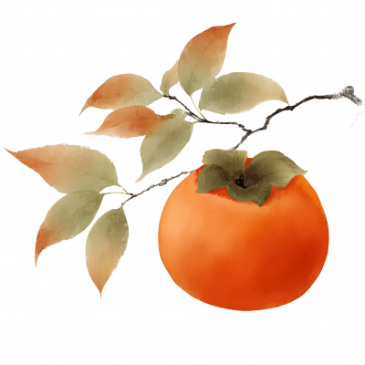 柿子插画设计元素