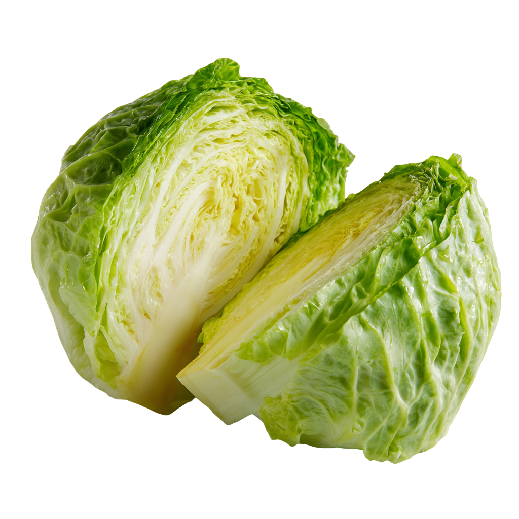 半个卷心菜元素