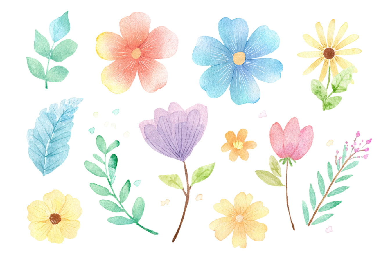 简约清新花卉插图