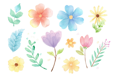 简约清新花卉插图