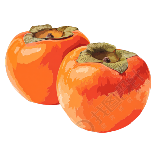 柿子商业设计插画