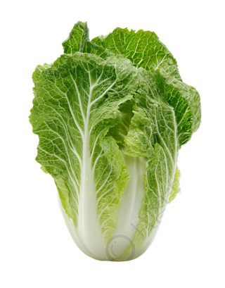白菜可商用插图