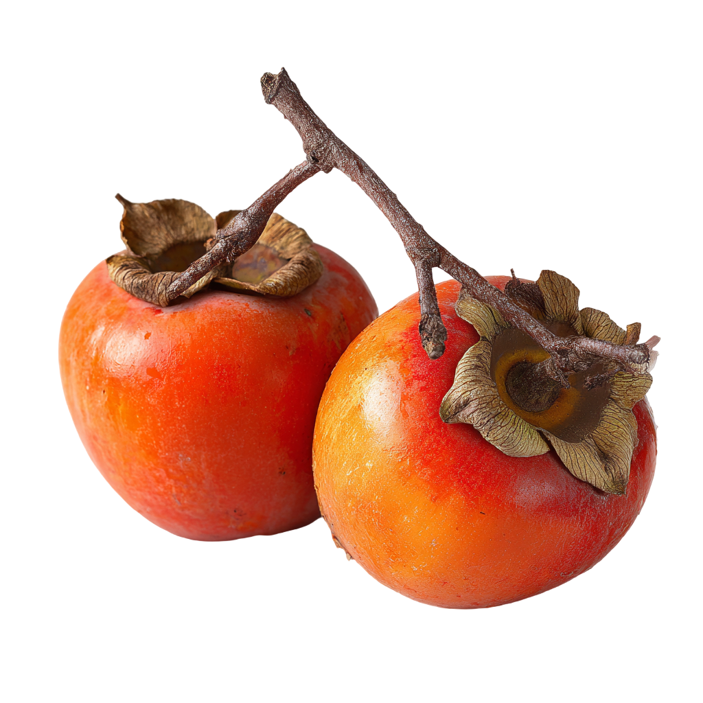 橙色柿子PNG插画