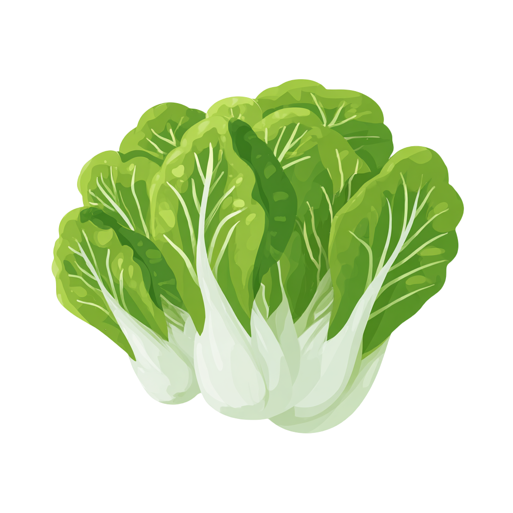 白菜卡通素材