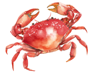 红色螃蟹水彩风插画