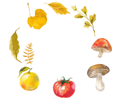 橘子蘑菇秋季水彩插画