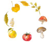 橘子蘑菇秋季水彩插画