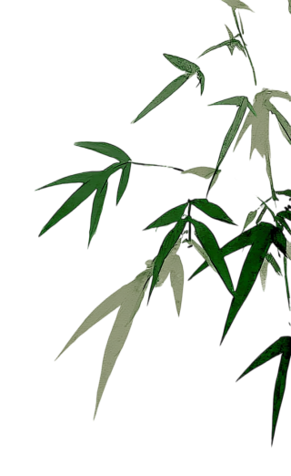 墨绿竹叶PNG元素