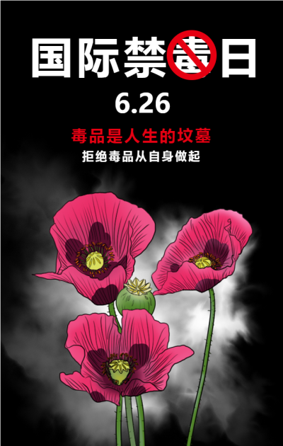 国际禁毒日珍爱生命手机海报