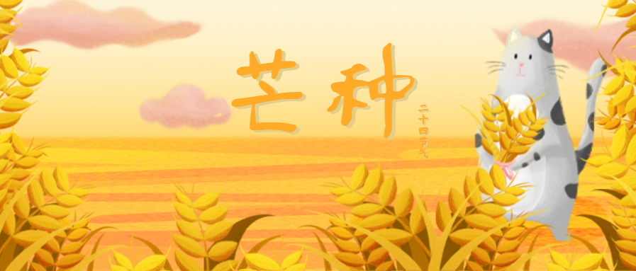 芒种节气插画微信公众号首图